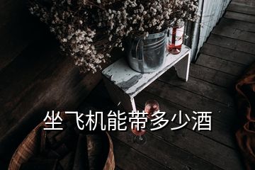 坐飞机能带多少酒