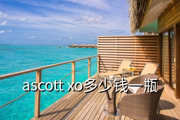 ascott xo多少钱一瓶