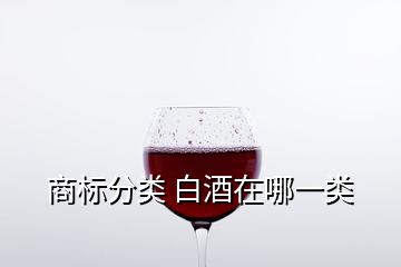 商标分类 白酒在哪一类