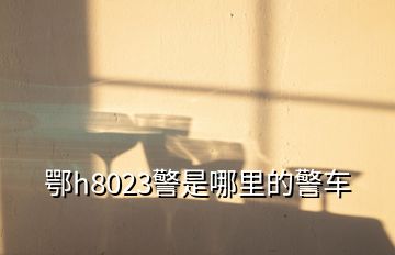 鄂h8023警是哪里的警车