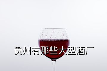 贵州有那些大型酒厂