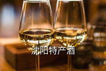 沈阳特产酒