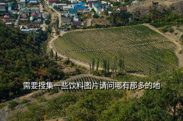 需要搜集一些饮料图片请问哪有那多的地