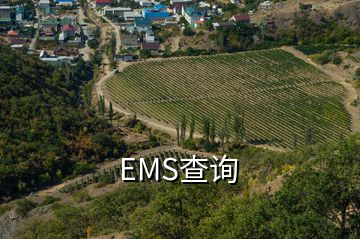 EMS查询