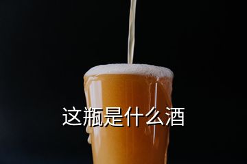 这瓶是什么酒