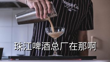 珠江啤酒总厂在那啊