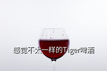 感觉不太一样的Tiger啤酒