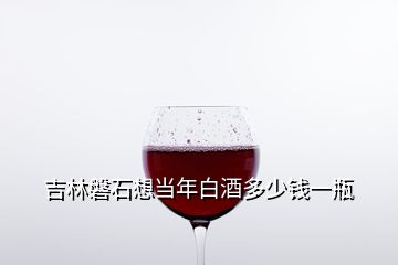 吉林磐石想当年白酒多少钱一瓶