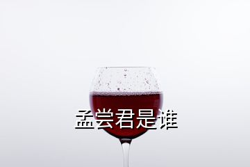 孟尝君是谁