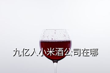 九亿人小米酒公司在哪