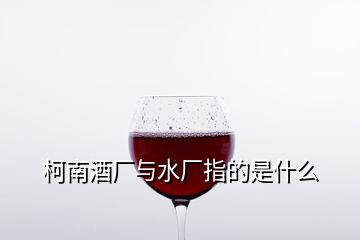 柯南酒厂与水厂指的是什么