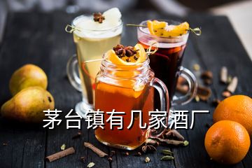 茅台镇有几家酒厂