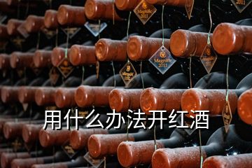 用什么办法开红酒