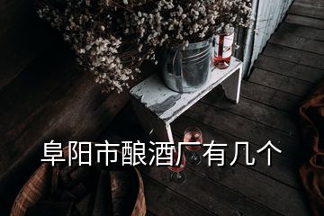 阜阳市酿酒厂有几个