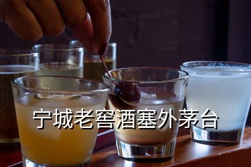 宁城老窖酒塞外茅台