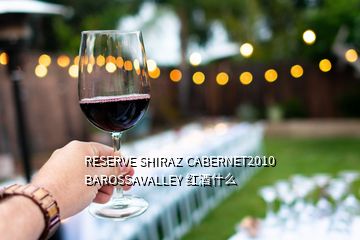 RESERVE SHIRAZ CABERNET2010 BAROSSAVALLEY 红酒什么