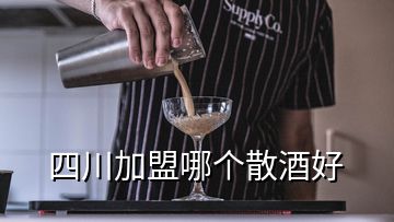 四川加盟哪个散酒好