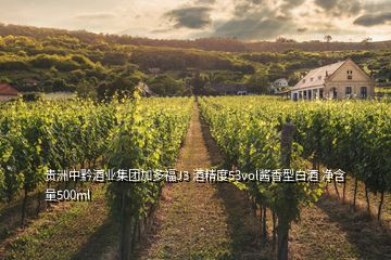 贵洲中黔酒业集团加多福J3 酒精度53vol酱香型白酒 净含量500ml