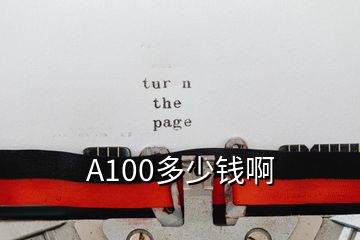 A100多少钱啊