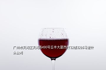 广州市天河区天河路490号壬丰大厦西厅32楼3216号是什么公司