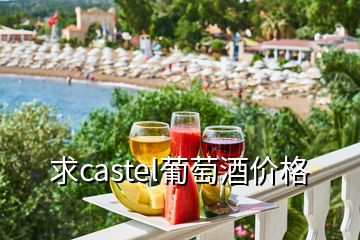 求castel葡萄酒价格