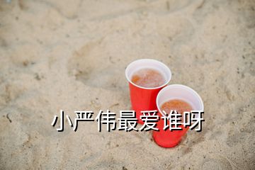 小严伟最爱谁呀