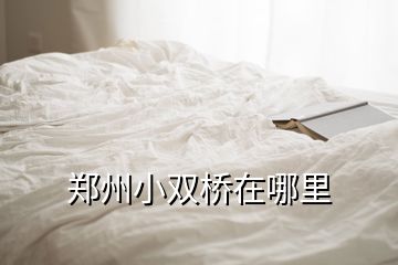 郑州小双桥在哪里