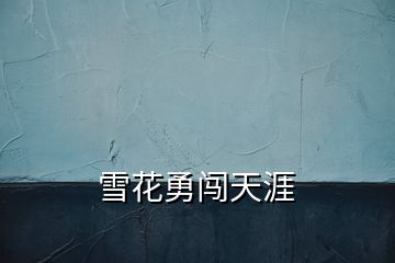 雪花勇闯天涯