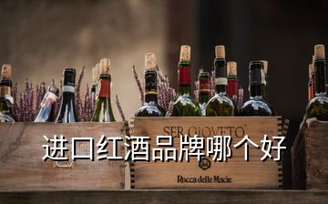 进口红酒品牌哪个好