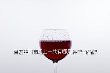 目前中国市场上一共有哪几种啤酒品牌