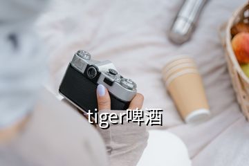 tiger啤酒