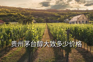 贵州茅台醇大致多少价格