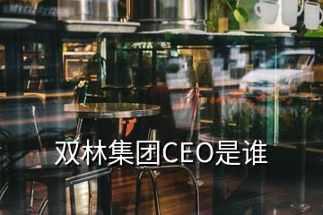 双林集团CEO是谁