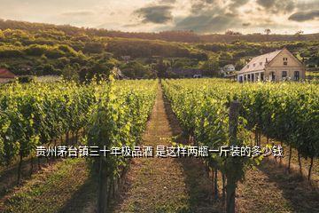 贵州茅台镇三十年极品酒 是这样两瓶一斤装的多少钱