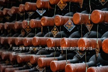 河北省丰宁酒厂出产一种名为 九龙醇的酒好喝不多少钱一瓶