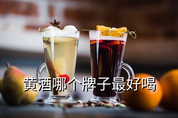 黄酒哪个牌子最好喝