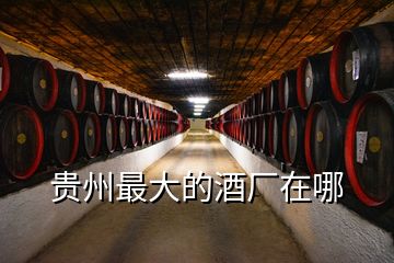 贵州最大的酒厂在哪