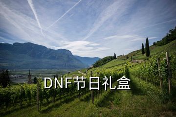 DNF节日礼盒