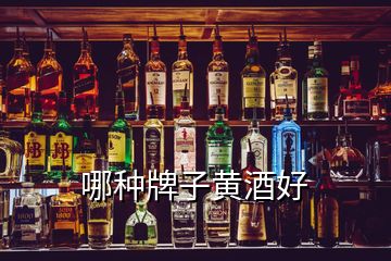 哪种牌子黄酒好