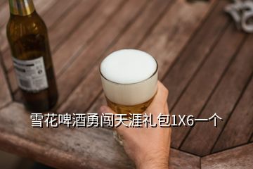 雪花啤酒勇闯天涯礼包1X6一个