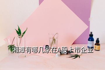 湘潭有哪几家在A股上市企业