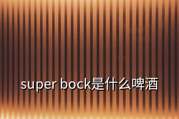 super bock是什么啤酒