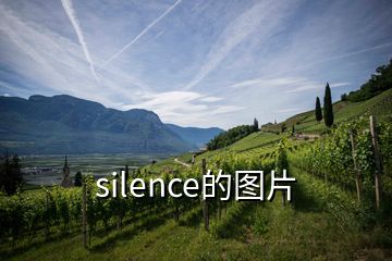 silence的图片