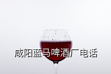 咸阳蓝马啤酒厂电话