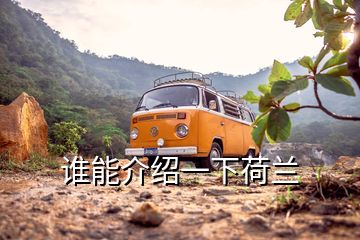 谁能介绍一下荷兰