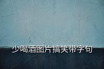 少喝酒图片搞笑带字句