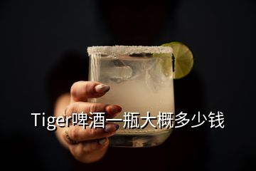 Tiger啤酒一瓶大概多少钱