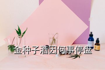 金种子酒因何事停盘