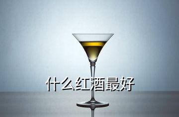 什么红酒最好