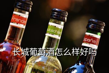 长城葡萄酒怎么样好吗